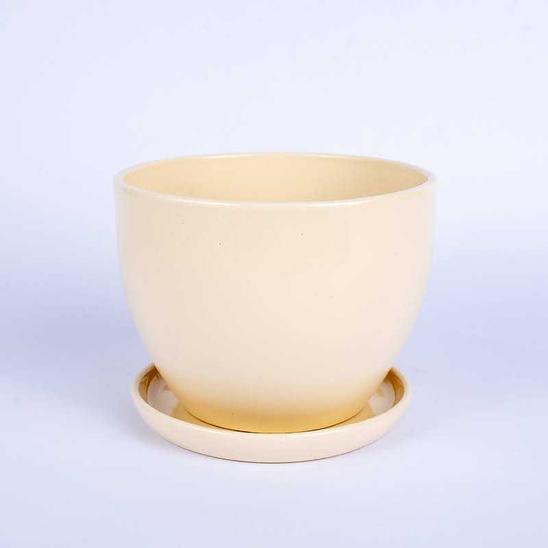 Klasik kremowy połysk |...