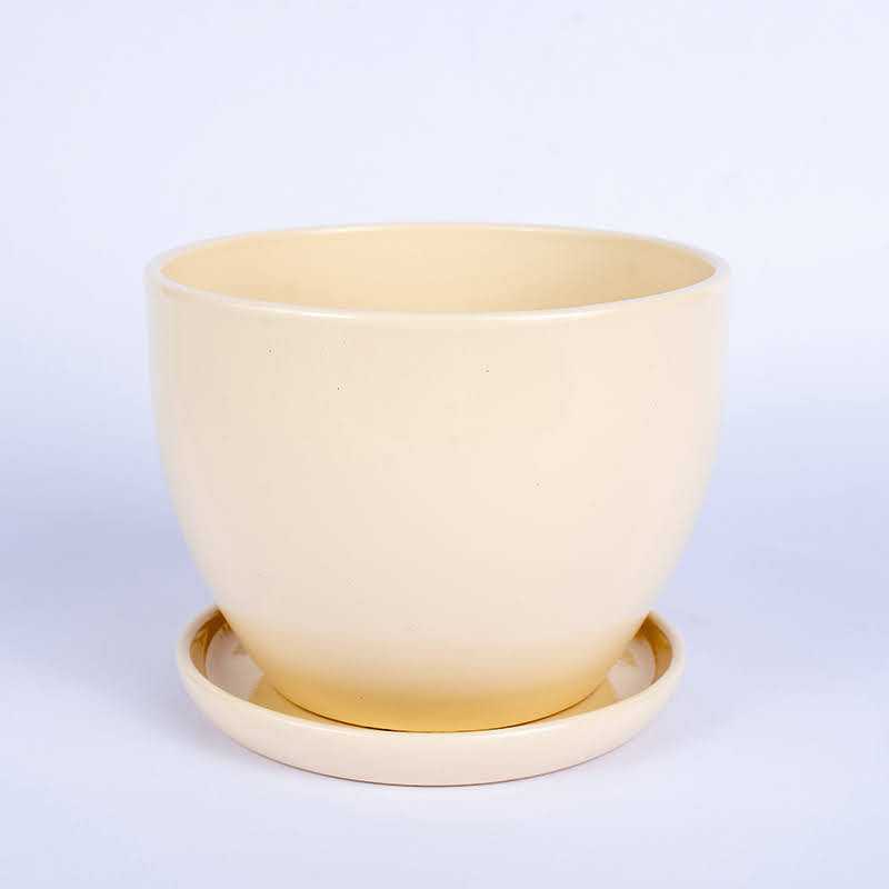 Klasik kremowy połysk |...