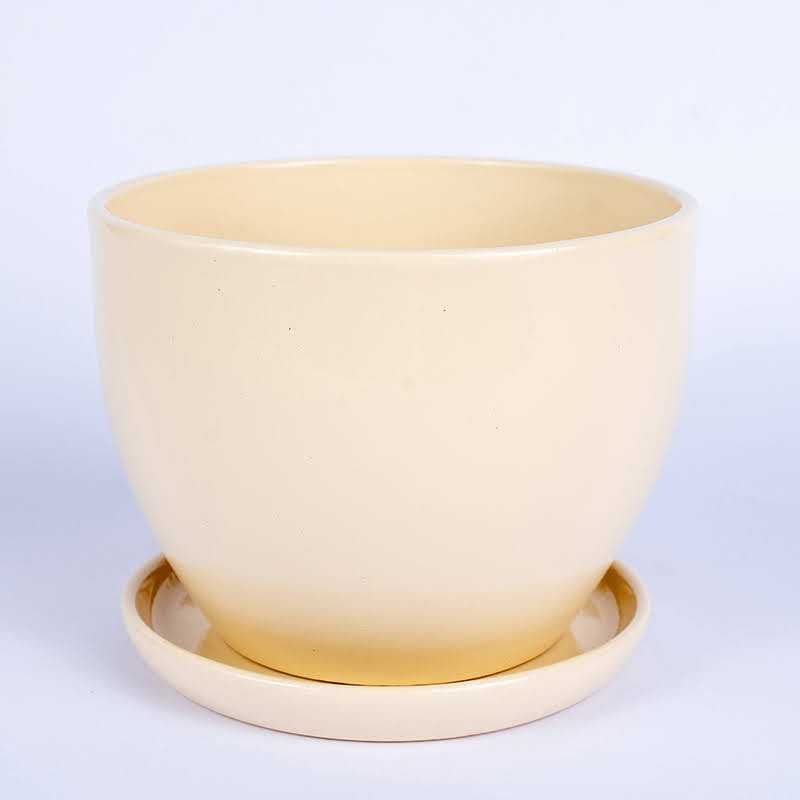 Klasik Kremowy połysk |...