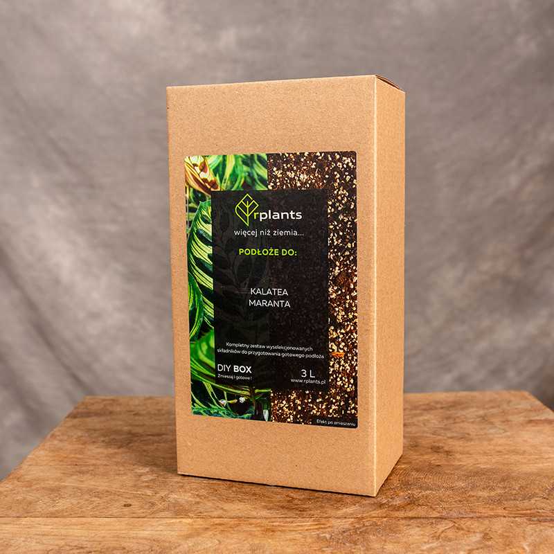 Podłoże do Kalateii 3L. | Box