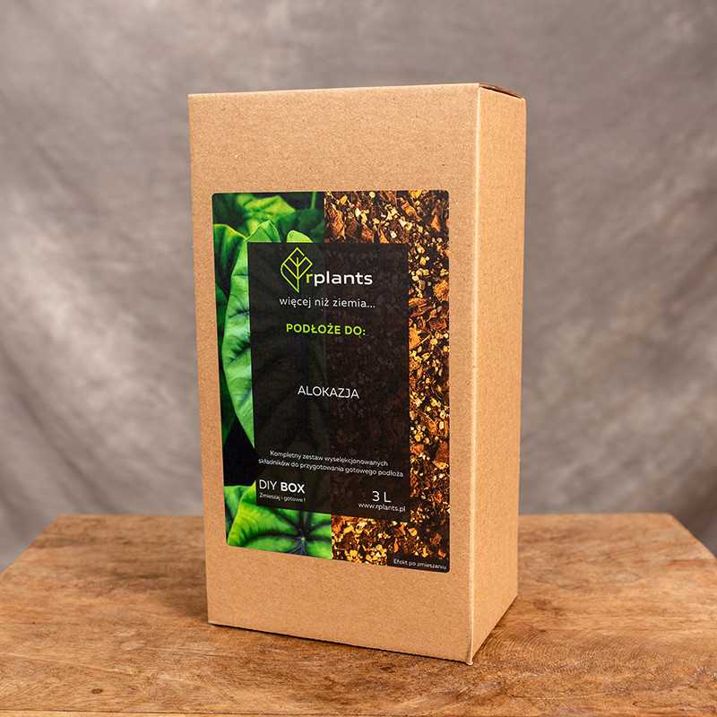 Podłoże do Alokazji 3L. | Box