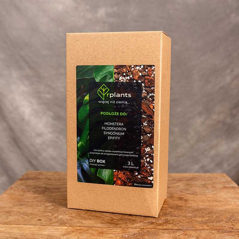 Podłoże do Monstery 3L. | Box