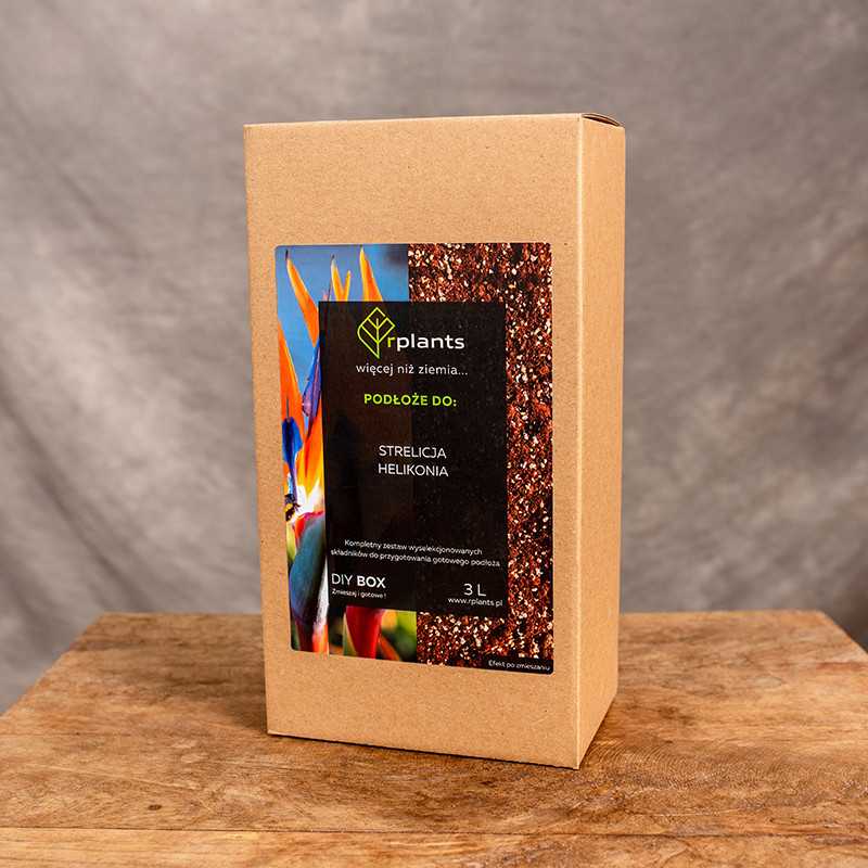 Podłoże do Strelicji 3L. | Box