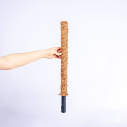 Palik kokosowy 60 cm
