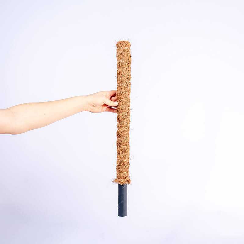 Palik kokosowy 60 cm