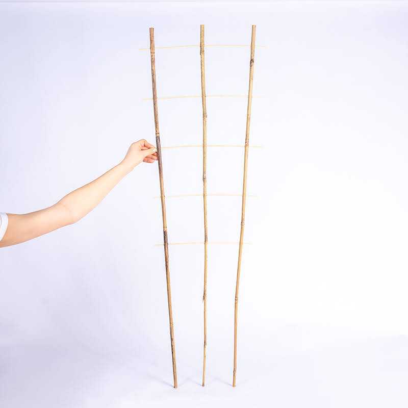 Drabinka bambusowa podwójna...