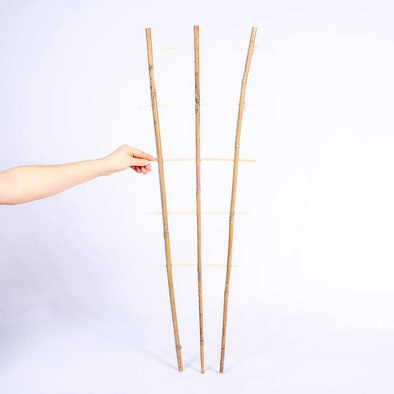 Drabinka bambusowa podwójna...