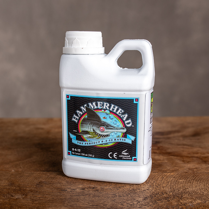 Wzmacniacz kwitnienia |...