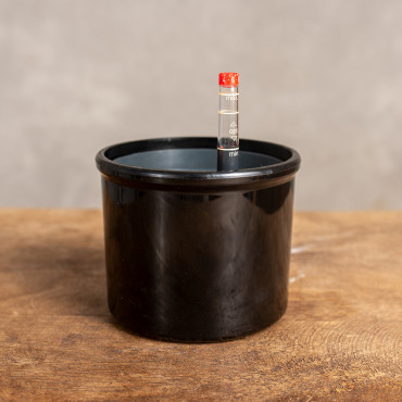 Zestaw do hydroponiki czarny | 11 cm