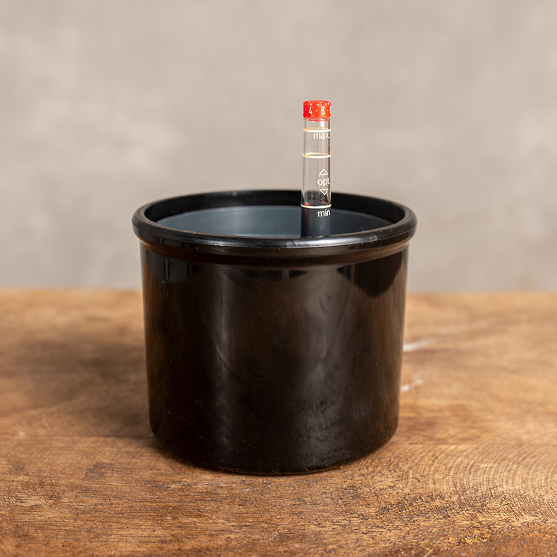 Zestaw do hydroponiki...