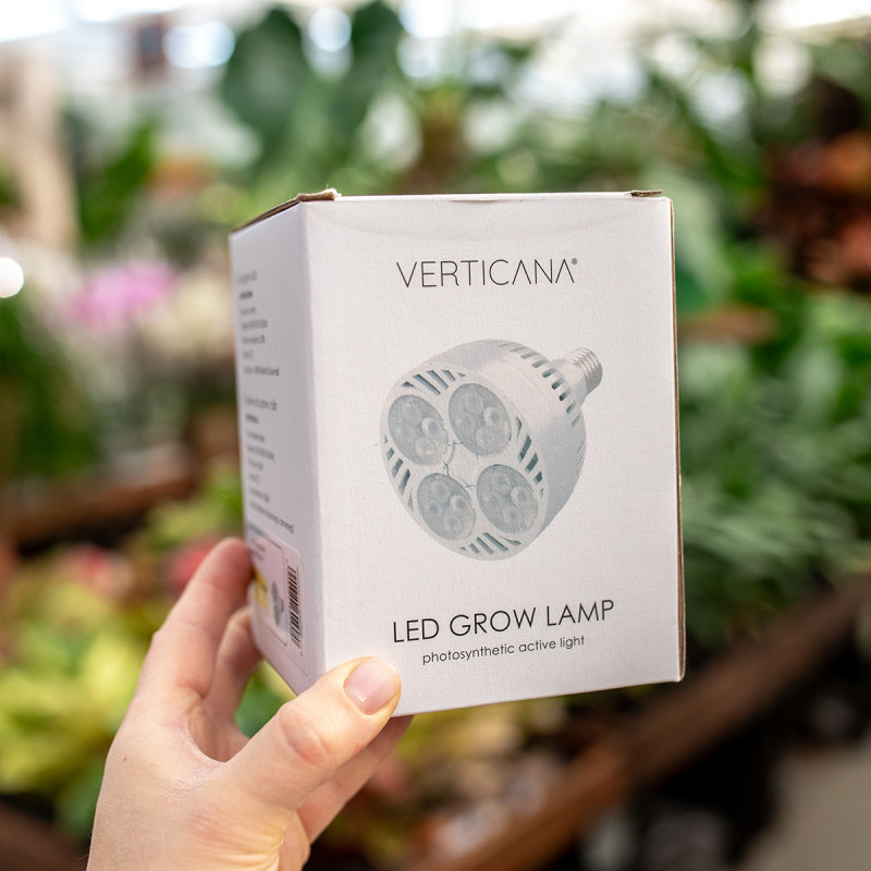 Żarówka biała | Zasięg 2m