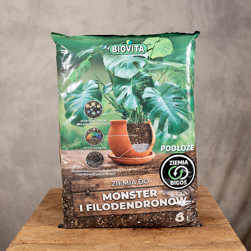 Bigos do monster i...