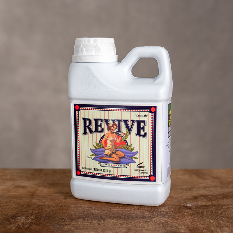 Reaktywator dla osłabionych...