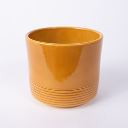 Osłonka walec miodowa połysk| 12 cm
