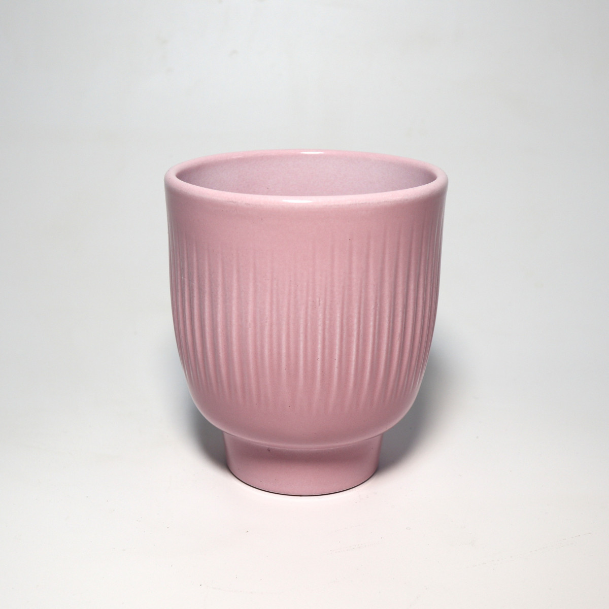 Osłonka Róż Lazur | 12 cm