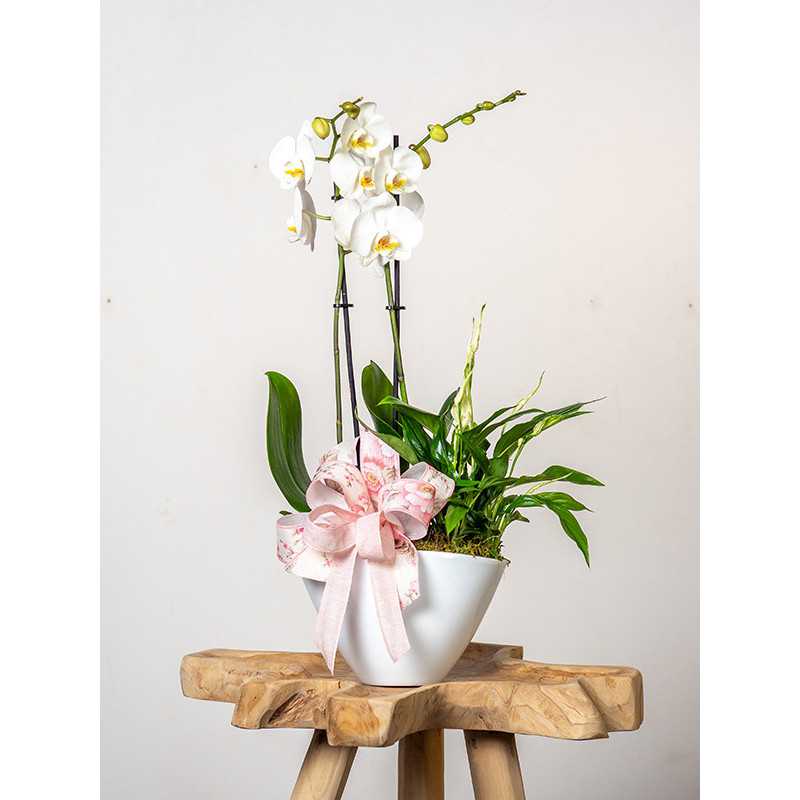 Kompozycja okolicznościowa