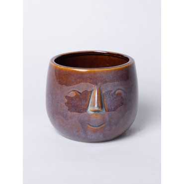 Głowa mała Brązowo-Fioletowa