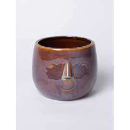 Głowa mała Brązowo-Fioletowa