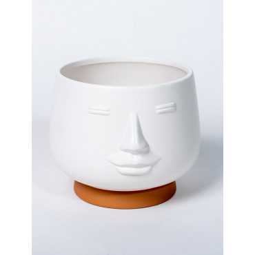 Osłonka Głowa Biała III