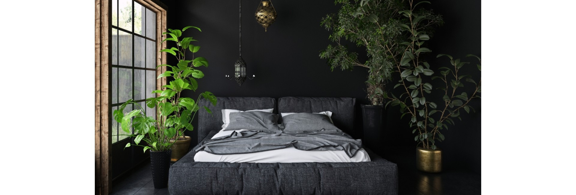 Rośliny do sypialni, produkujące tlen w nocy - Tomaszewski