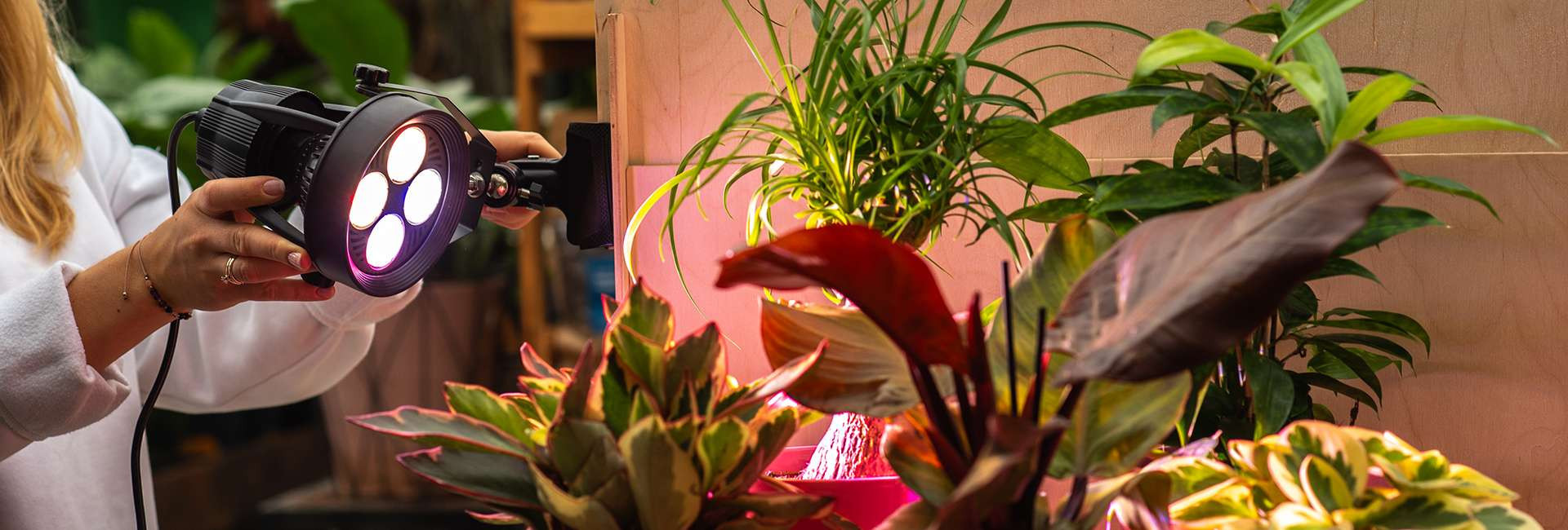 Lampy i żarówki LED do uprawy i hodowli roślin - Tomaszewski
