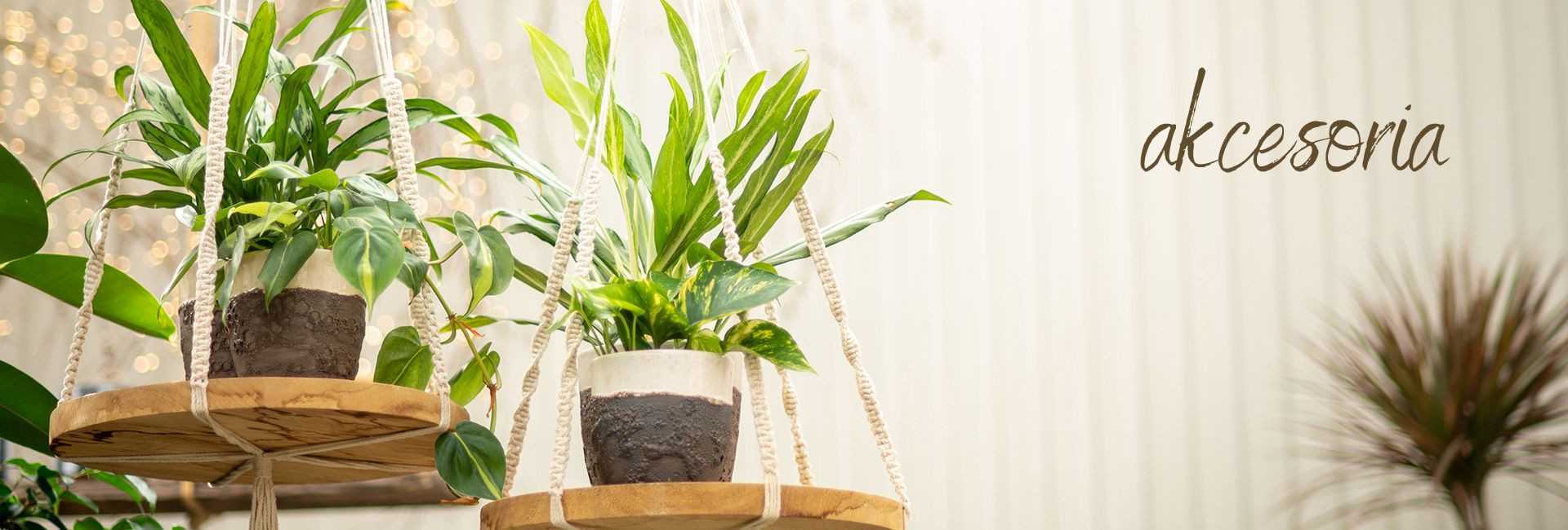 Akcesoria do kwiatów i roślin doniczkowych - Tomaszewski