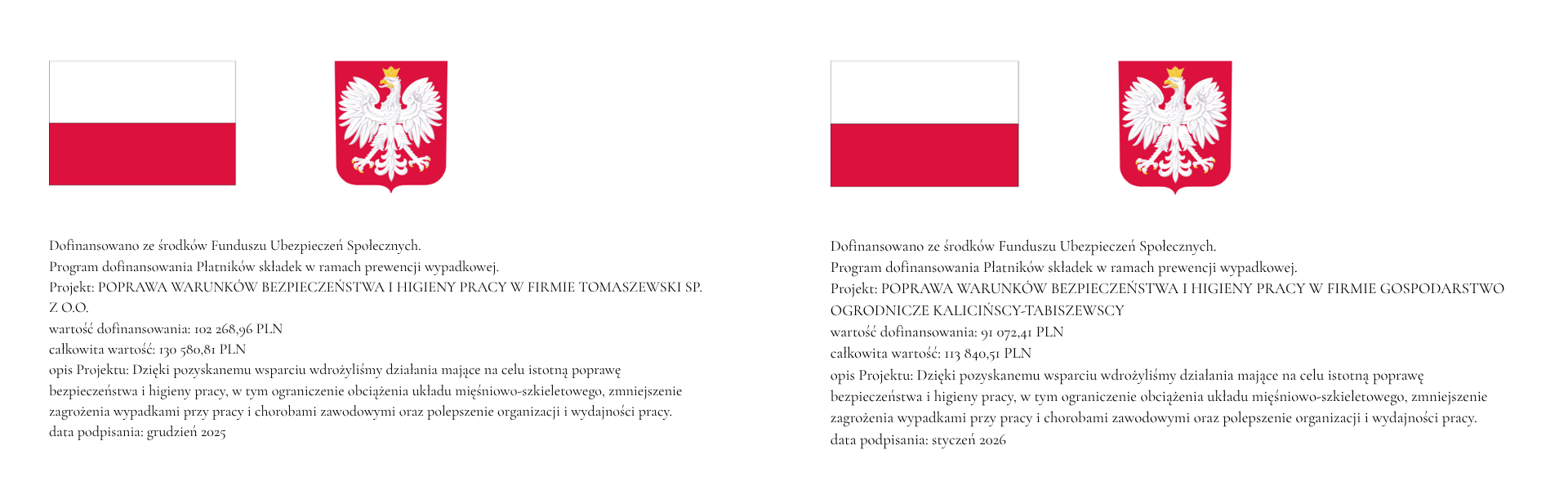 Grafika informacyjna