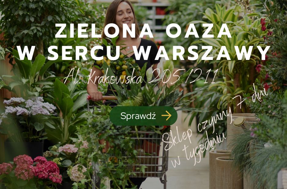 Sklep stacjonarny Warszawa