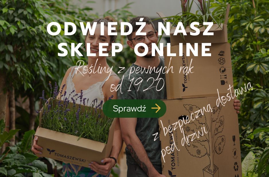 Kategorie roślin doniczkowych