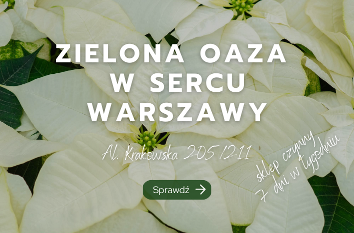 Sklep stacjonarny Warszawa