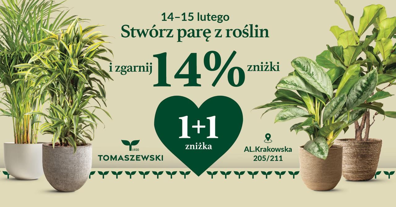 Stwórz parę z roślin Walentynki w Tomaszewskim