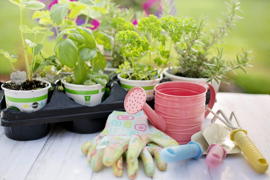 narzędzia ogrodnicze jak przesadzać kwiaty doniczkowe